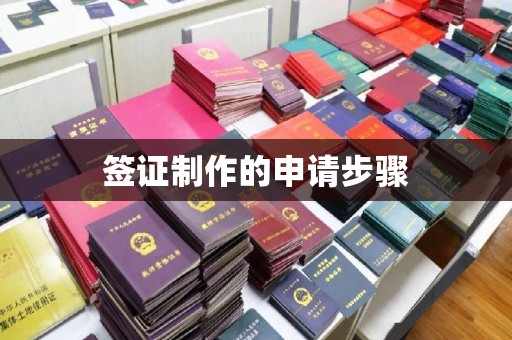 新会签证制作的申请步骤