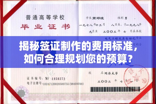 新会揭秘签证制作的费用标准，如何合理规划您的预算？