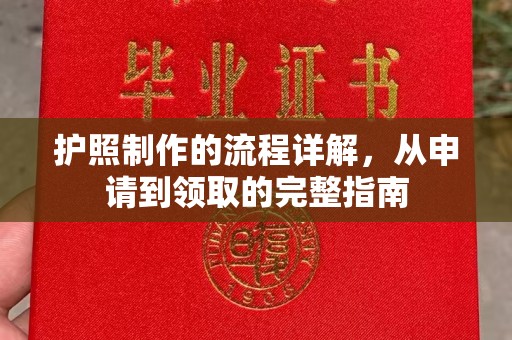 新会护照制作的流程详解，从申请到领取的完整指南